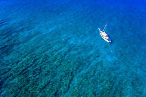 Charter cruise at the Caicos Barrier Reef