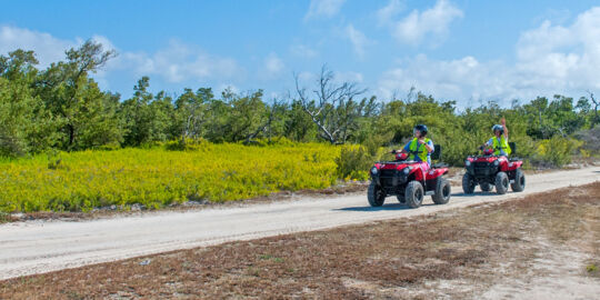 ATVs on a tour in North Creek on Grand Turk