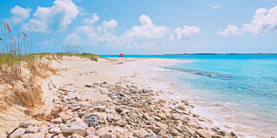 Sea oats and beach at Gibbs Cay