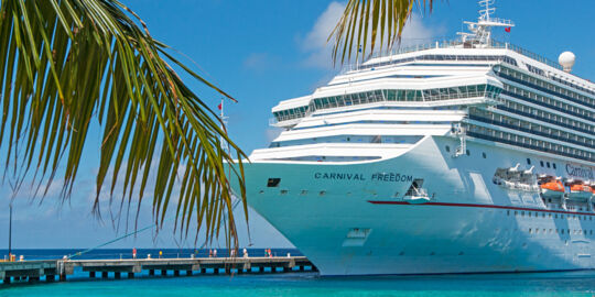 Coconut palm fronds and cruise ship at Grand Turk