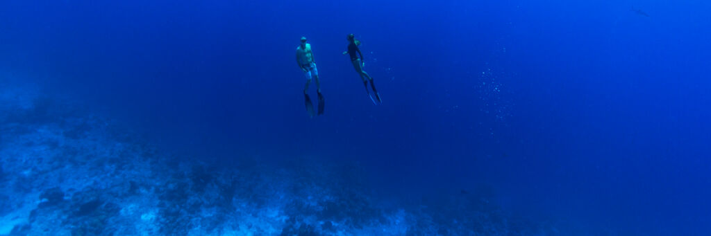 Freediving in the Turks and Caicos