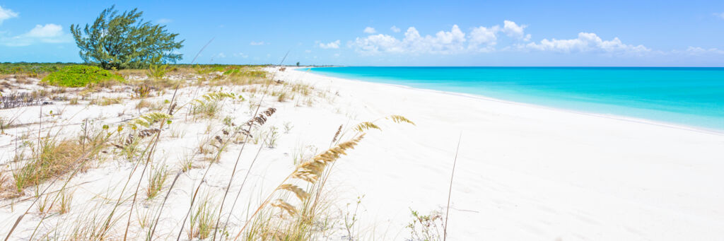 Sea oats and white sand beach of Pine Cay