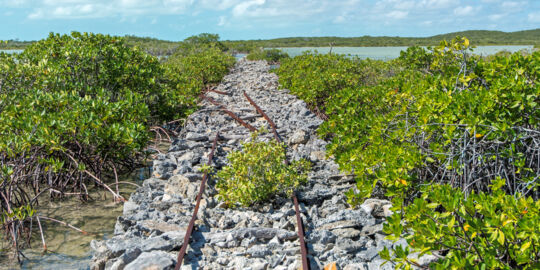 The rock causeway and small-scale railway in the wetlands of East Caicos