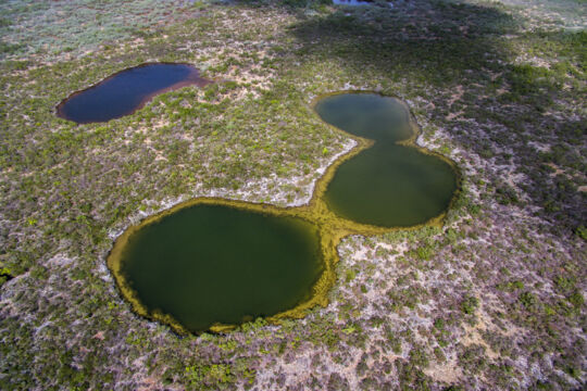 Karst black holes on East Caicos