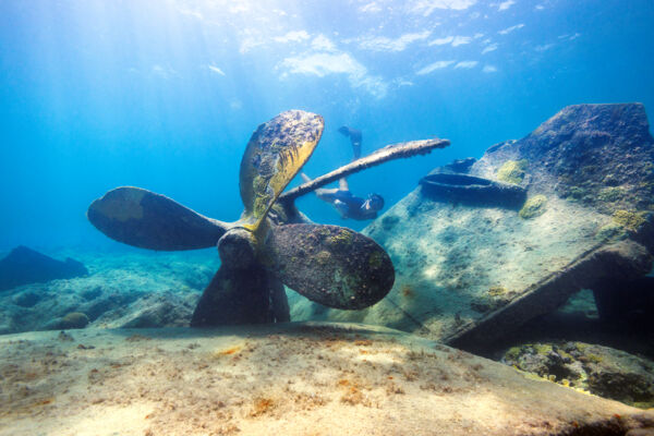 Freediver at a shipwreck in the Turks and Caicos