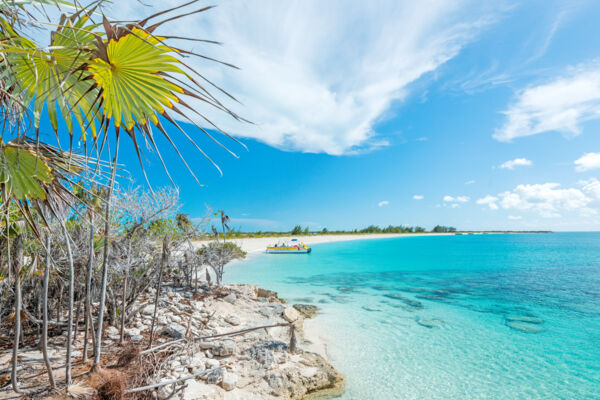 Thatch palms and Half Moon Bay from a bluff on Water Cay