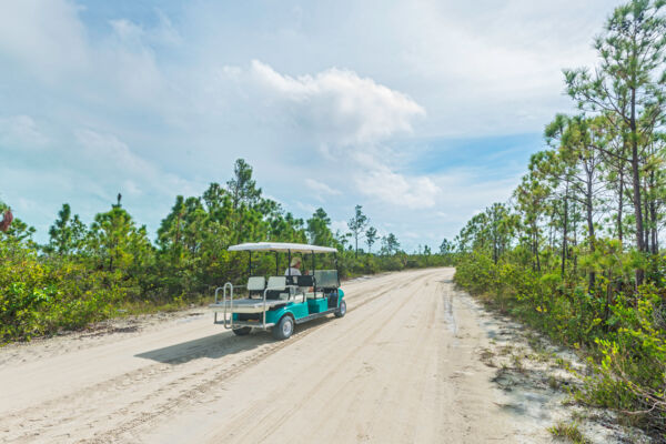 Golf car on Pine Cay