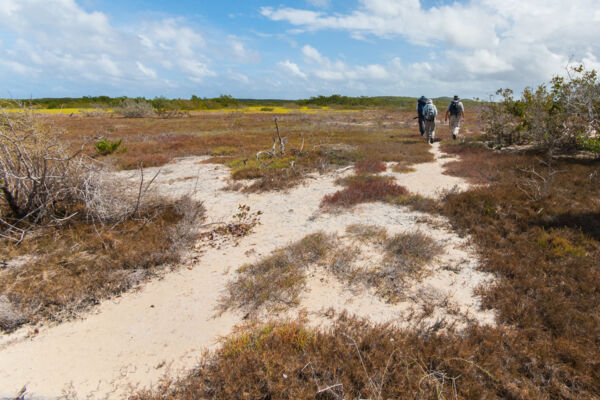 Hiking on the saline tundras of East Caicos