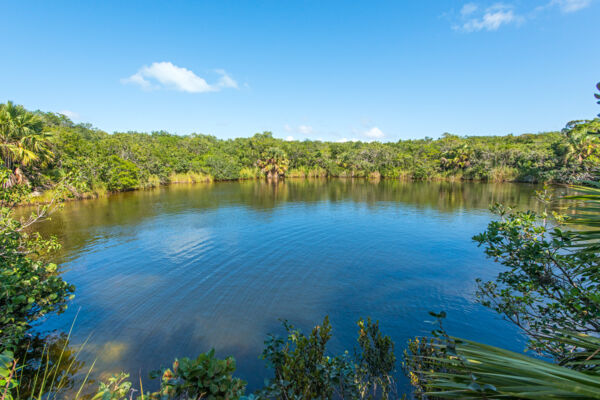 The wild Nanny Pond blue hole at the remote Haulover Fields of Middle Caicos