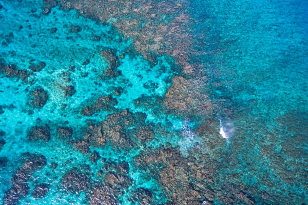 Overhead view of the Caicos barrier reef