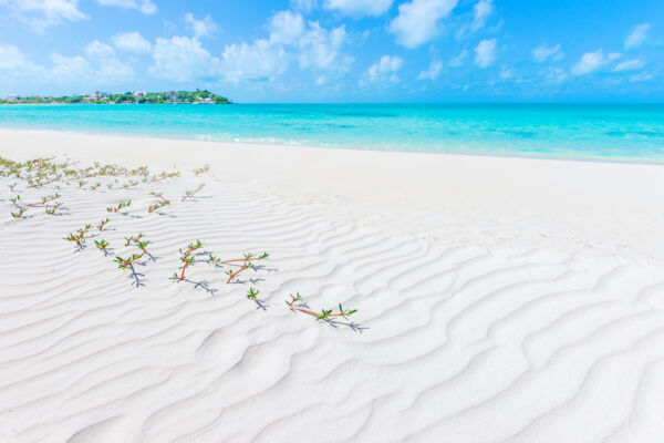 Wind sand patterns on the beach at Taylor Bay, Providenciales